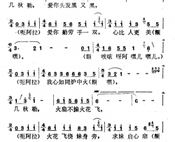 云南白族民歌：我心如同炉中火简谱-