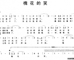 槐花的笑简谱