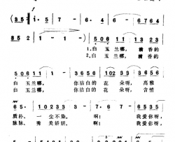 清香的白玉兰简谱