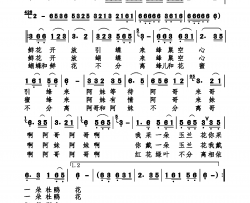 花恋简谱