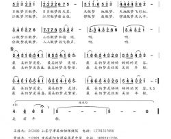 最美的梦简谱