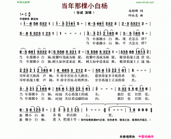当年那棵小白杨简谱