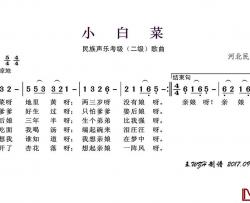 小白菜简谱(歌词)-于文华演唱-王wzh曲谱