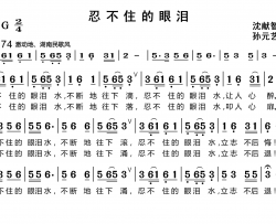 忍不住的眼泪简谱