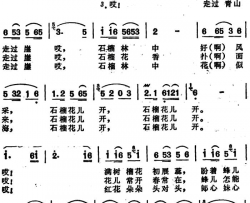 石榴花儿开安徽定远民歌石榴花儿开 安徽定远民歌简谱