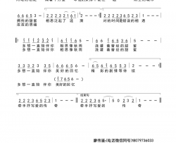 多想一直陪伴你简谱-邂逅无言演唱-裴永春/廖伟鉴词曲