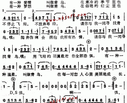 青鸟--伍思凯简谱