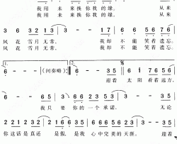 天涯爱乐团简谱