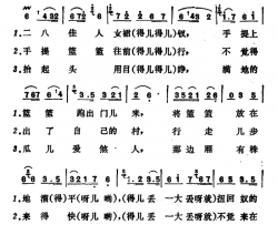 摘南瓜简谱