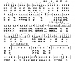 芦笋姑娘简谱