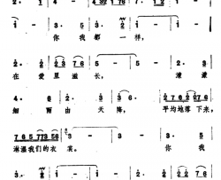 你我都一样简谱
