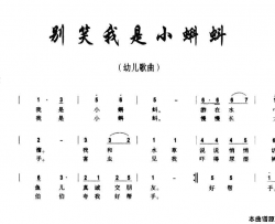 别笑我是小蝌蚪简谱
