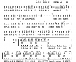 我的玫瑰卓玛拉含说唱旋律简谱-春雷演唱-唐艺心/春雷词曲
