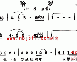 哈罗简谱