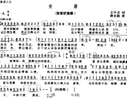 受罪简谱