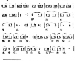 怀胎陕北榆林小曲简谱