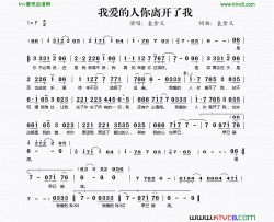 我爱的人你离开了我简谱-袁金义演唱-袁金义/袁金义词曲