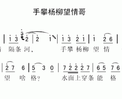 手攀杨柳望情哥简谱-