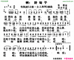 啊！野甸子电视剧《古船女人和网》插曲啊！野甸子电视剧《古船 女人和网》插曲简谱