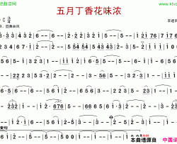 五月丁香花正浓简谱