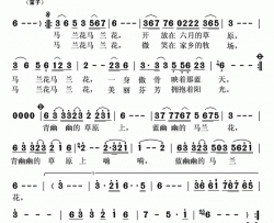 马兰花塔琳演唱版简谱