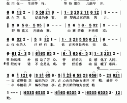 哭泣的野菊花简谱(歌词)-陈瑞演唱-秋叶起舞记谱上传