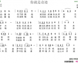 你就是奇迹简谱