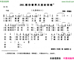 想你着旱天里盼雨哩简谱-杨海风演唱-青海民歌词曲