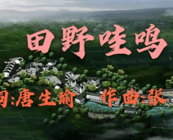田野哇鸣简谱