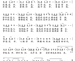 梦想花开简谱