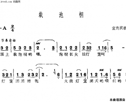 栽泡桐简谱