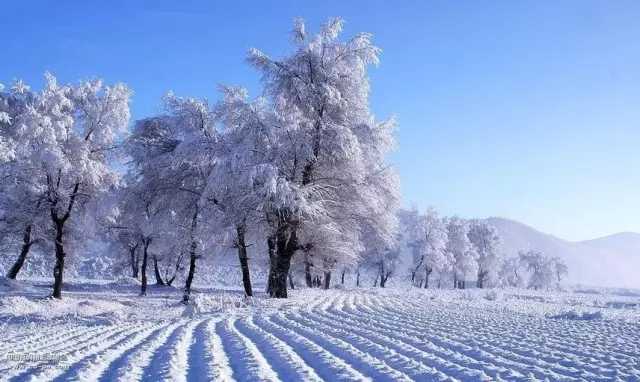 我爱你塞北的雪简谱   彭丽媛   飘飘洒洒的北国风光尽现眼前2