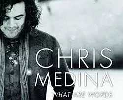 What Are Words简谱  Chris Medina  如果誓言只存在于美好时光，那又算什么誓言呢