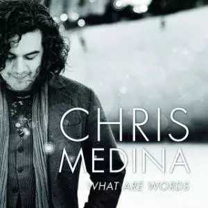 What Are Words简谱  Chris Medina  如果誓言只存在于美好时光，那又算什么誓言呢4