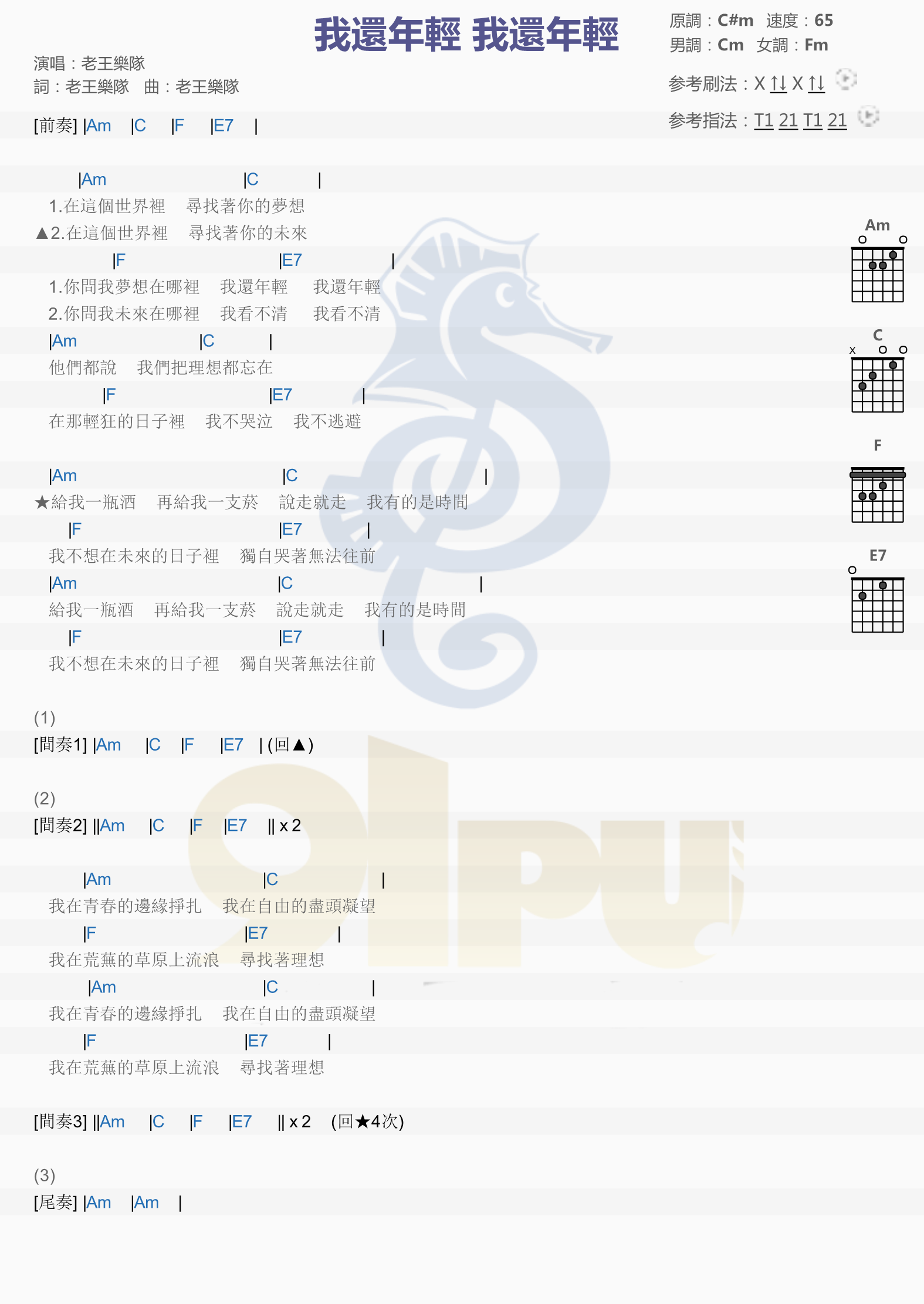 我还年轻我还年轻吉他谱 老王乐队 给我一瓶酒，再给我一支烟4