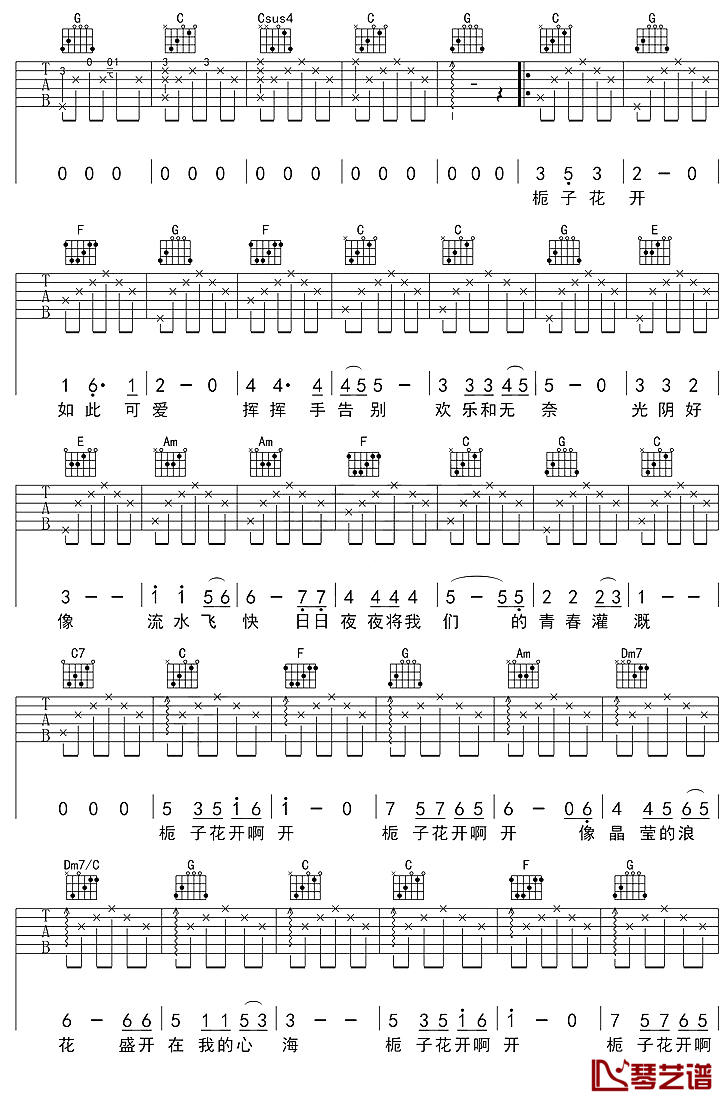 栀子花开吉他谱 何炅 谁不曾是同学少年，风华正茂2