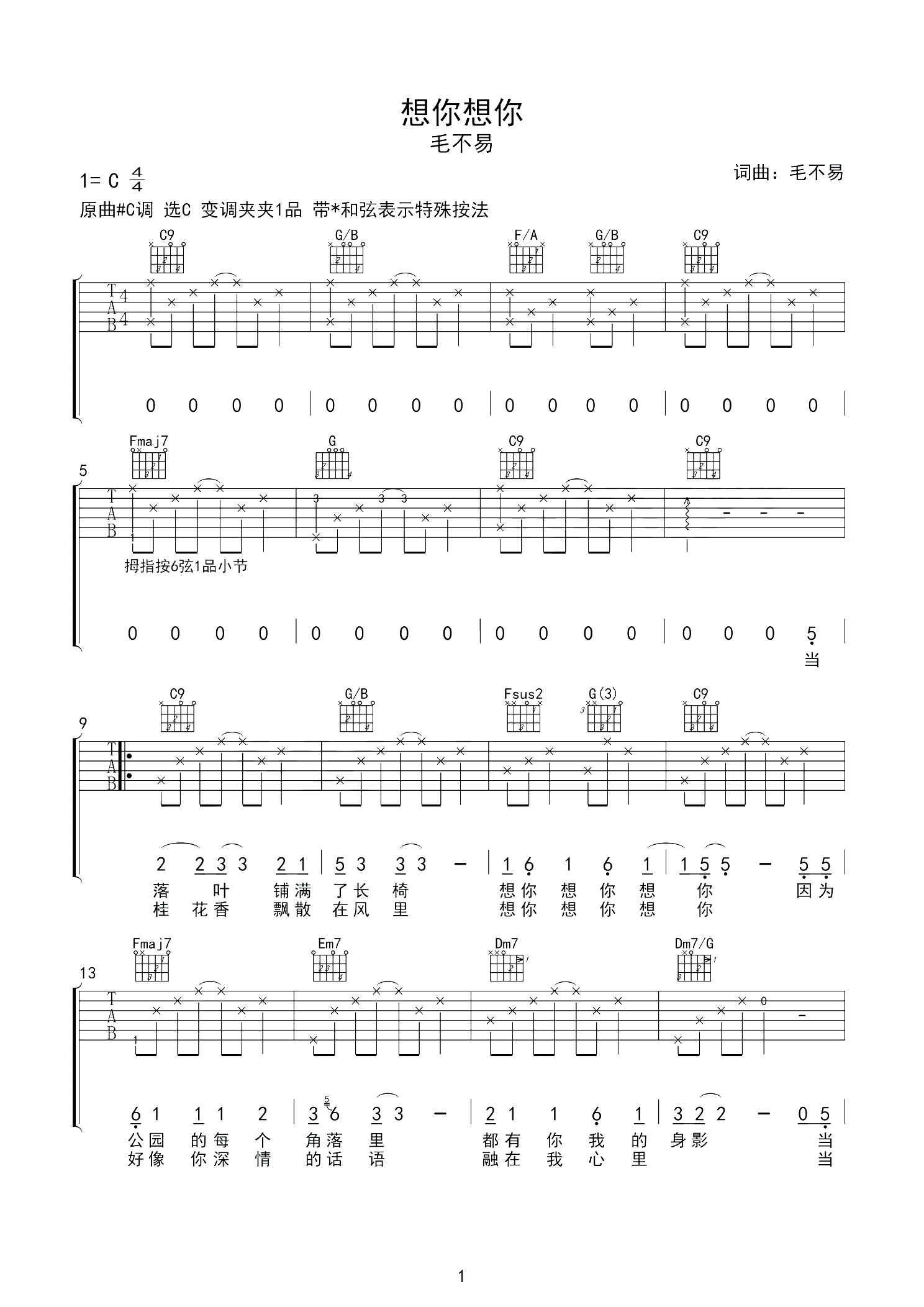 想你想你吉他谱 毛不易 想起我们终究也没有在一起1