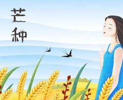 芒种指弹谱 音阙诗听/赵方婧 吉他独奏