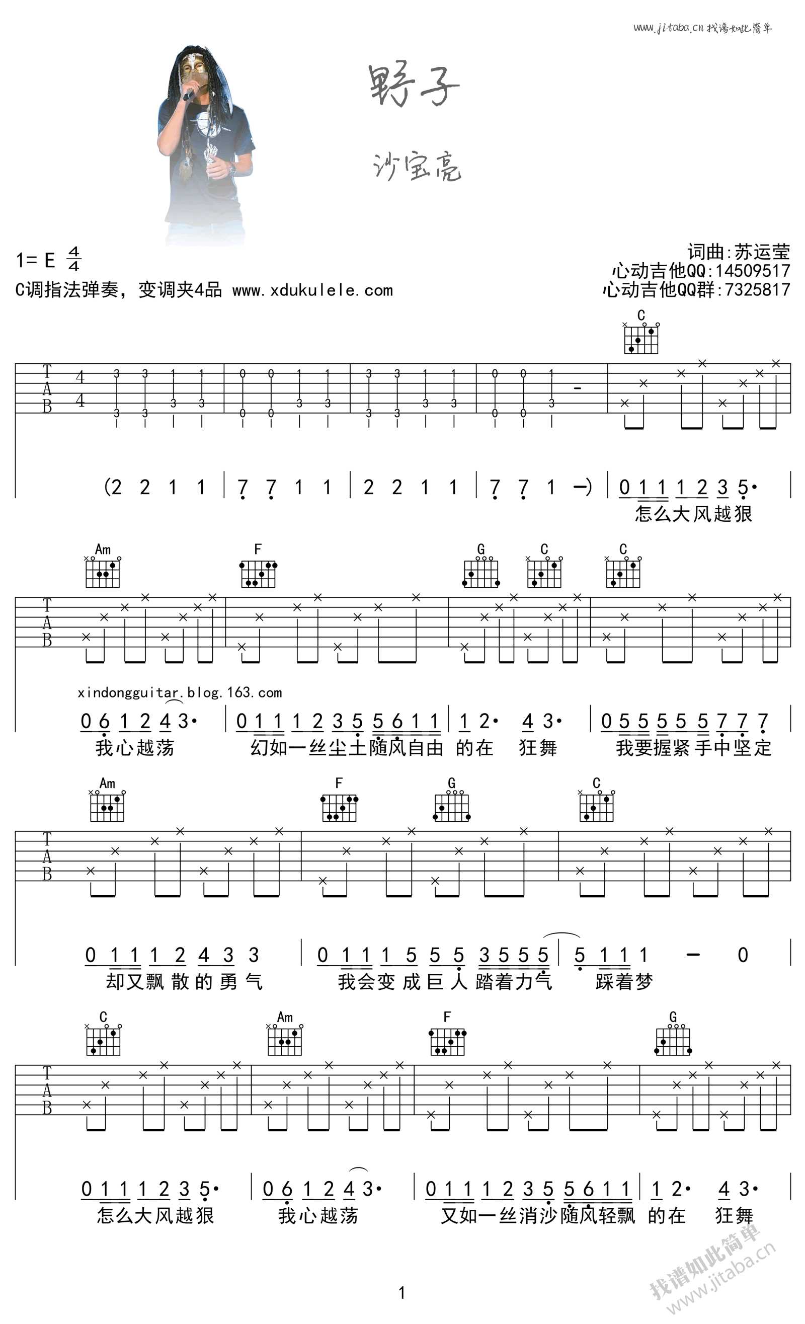 野子吉他谱-C调指法-沙宝亮《野子》吉他谱男生版1