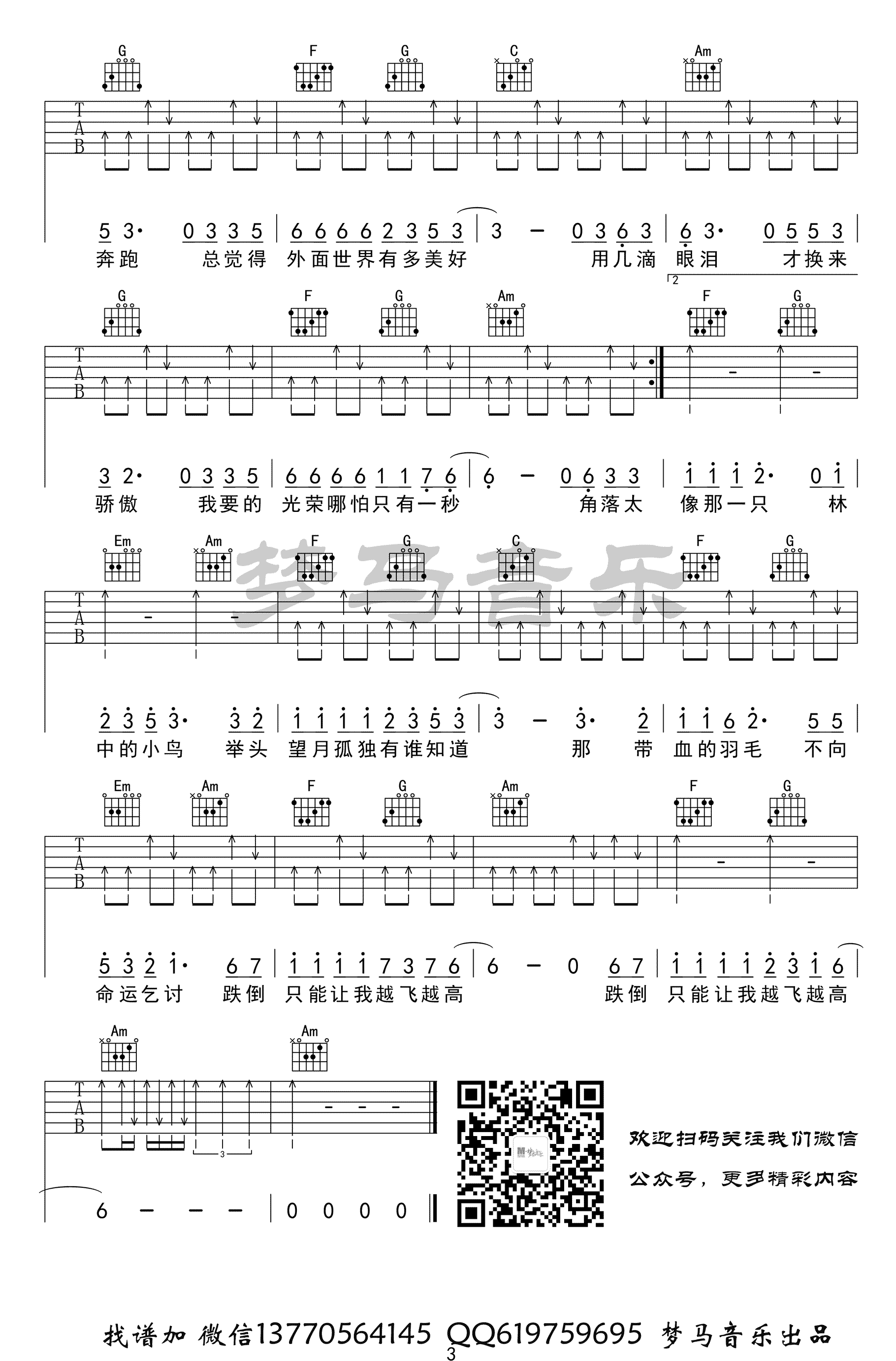 林中鸟吉他谱-葛林-C调六线谱-吉他弹唱视频3