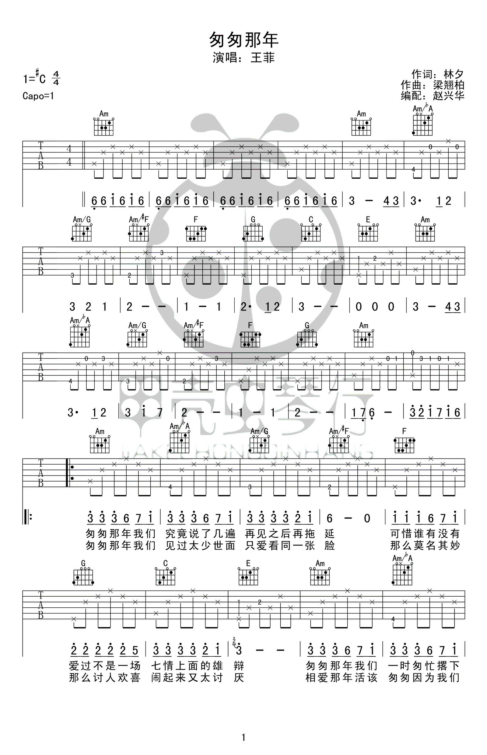 匆匆那年吉他谱C调-王菲-原版弹唱谱-高清图片谱1