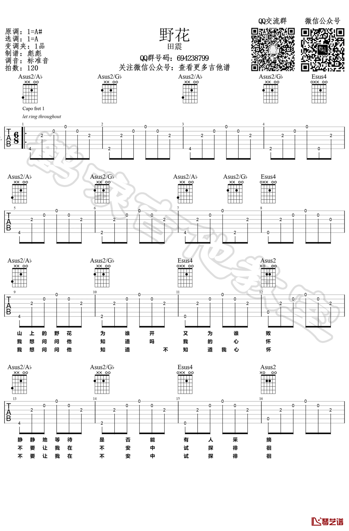 野花吉他谱 田震 A调弹唱谱 吉他教学视频1