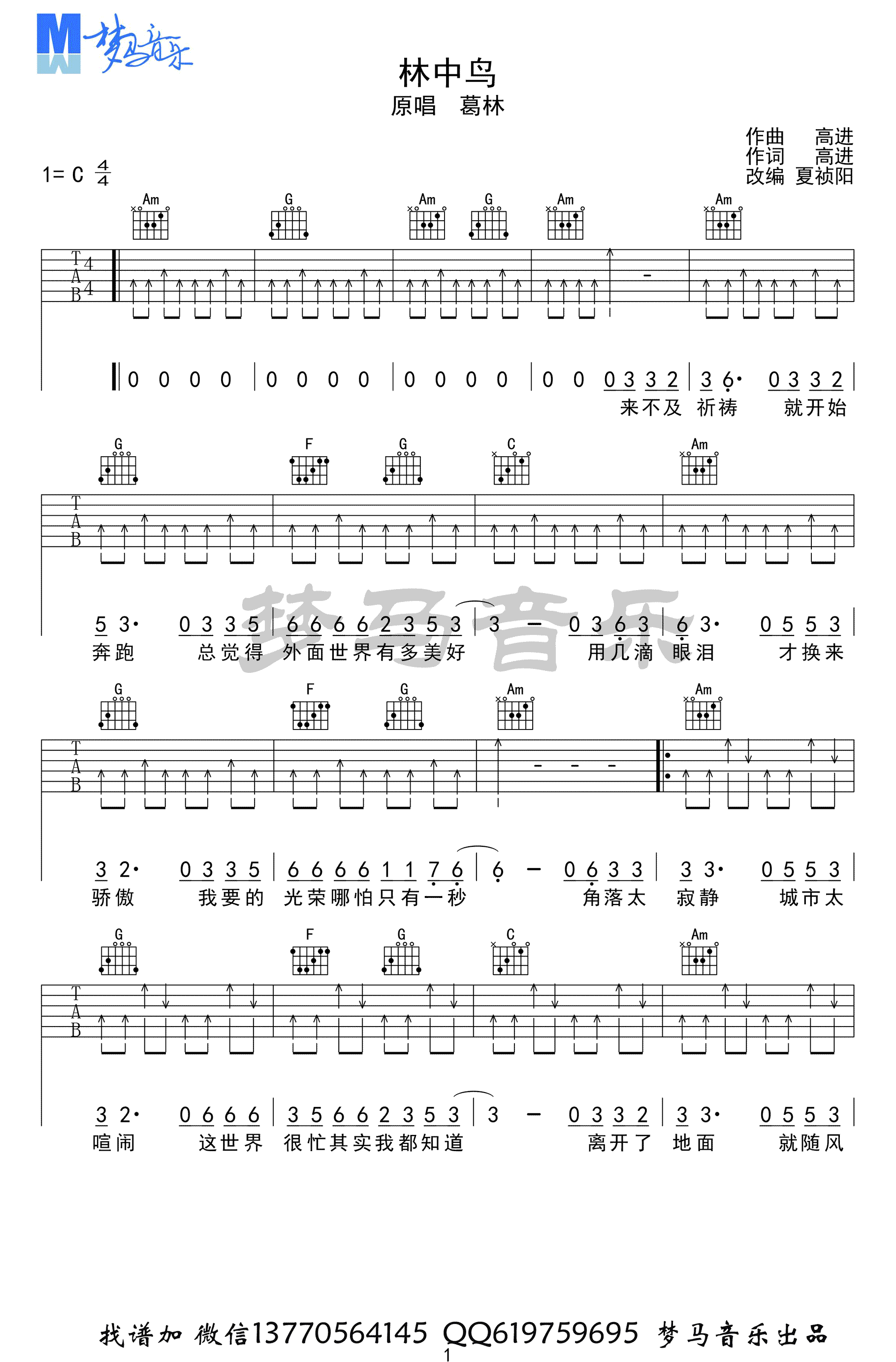 林中鸟吉他谱-葛林-C调六线谱-吉他弹唱视频1