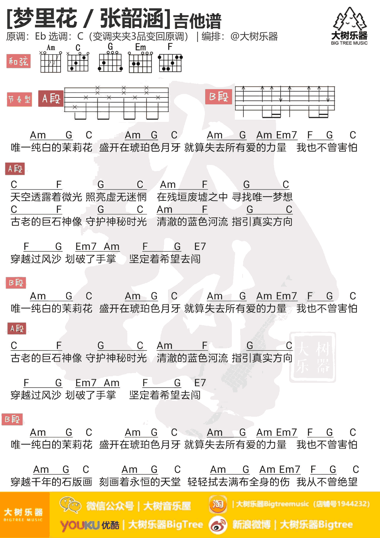 梦里花吉他谱-张韶涵-C调指法弹唱谱-《歌手》节目曲谱1