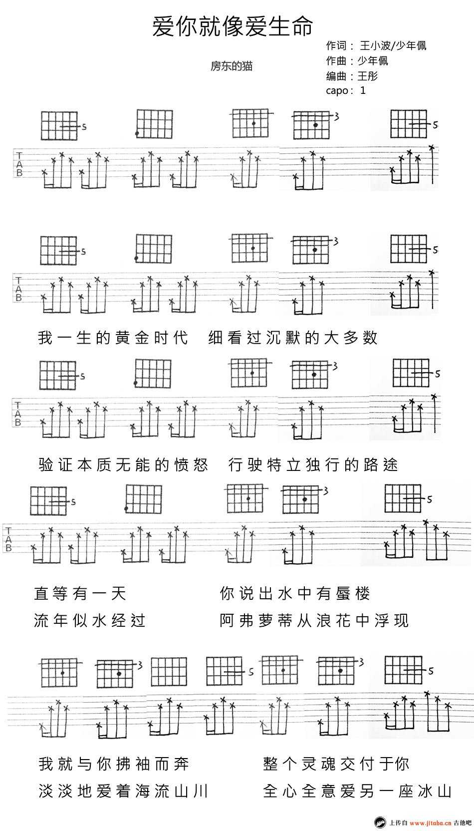 《爱你就像爱生命》吉他谱-房东的猫吉他弹唱六线谱1