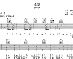 企鹅吉他谱_林小珂_C调完整版六线谱_《企鹅》高清图片谱