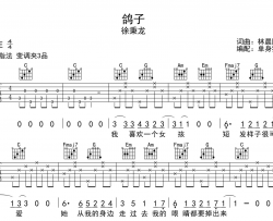 徐秉龙《鸽子》吉他谱_C调六线谱_《鸽子》吉他弹唱谱