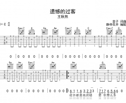 遗憾的过客吉他谱_王秋然_C调弹唱谱_高清完整版