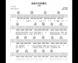 我是你的格桑花吉他谱_王琪_C调弹唱谱_高清六线谱