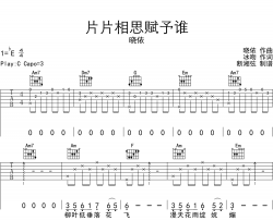 晓依《片片相思赋予谁》吉他谱_C调原版吉他谱